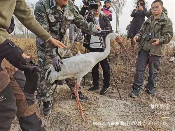 球王会,湖南野生动物追踪,湖南卫星追踪器,湖南追踪器