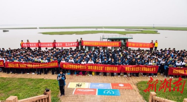 球王会,湖南野生动物追踪,湖南卫星追踪器,湖南追踪器