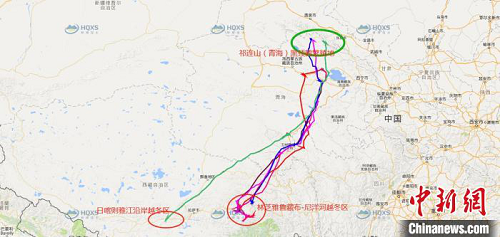 球王会,湖南野生动物追踪,湖南卫星追踪器,湖南追踪器