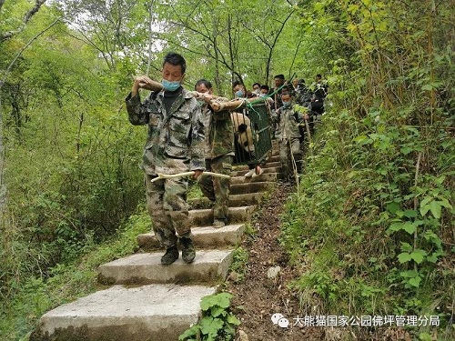 球王会,湖南野生动物追踪,湖南卫星追踪器,湖南追踪器