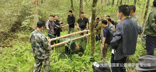 球王会,湖南野生动物追踪,湖南卫星追踪器,湖南追踪器