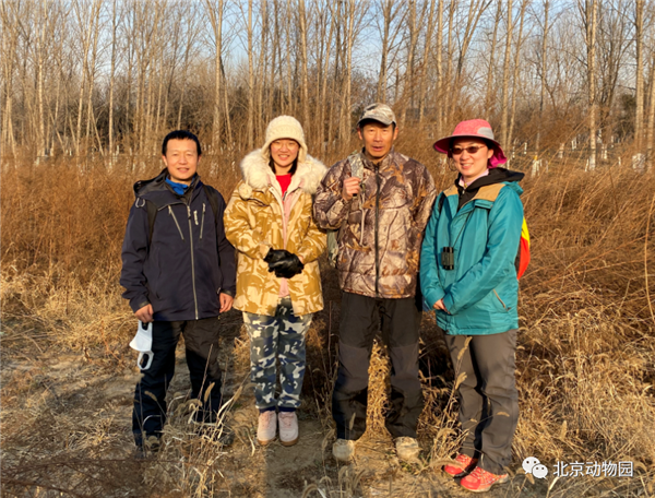 球王会,湖南野生动物追踪,湖南卫星追踪器,湖南追踪器