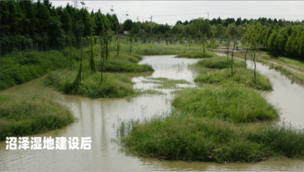 球王会,湖南野生动物追踪,湖南卫星追踪器,湖南追踪器