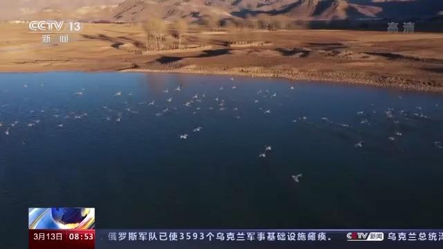 球王会,湖南野生动物追踪,湖南卫星追踪器,湖南追踪器