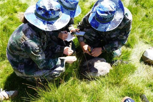 球王会,湖南野生动物追踪,湖南卫星追踪器,湖南追踪器