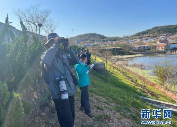 球王会,湖南野生动物追踪,湖南卫星追踪器,湖南追踪器